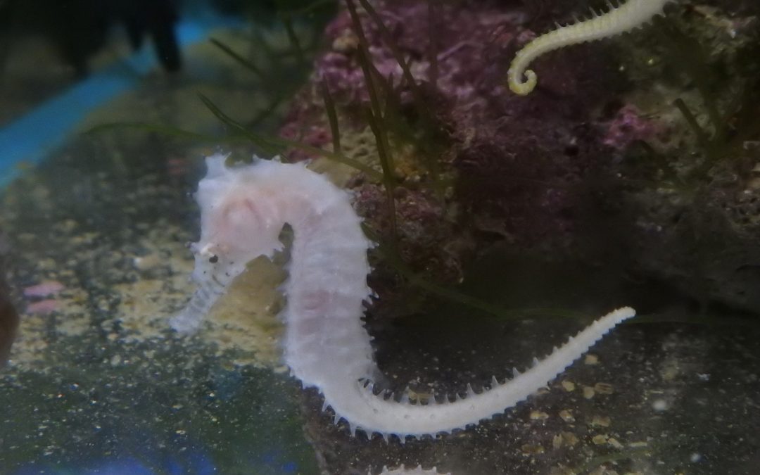 7月21日（月）海の日の営業について