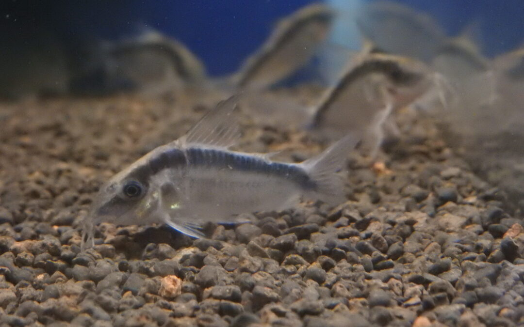 年末の営業について