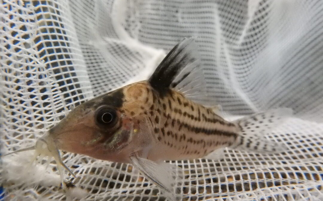 9月15日（月）の営業のお知らせ